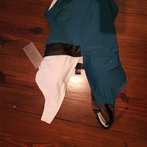 Gabi Fresh Swim 1pc swimsuit sz D/DD sizes colorblock molded cups nwt - Picture 4 of 4